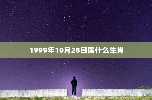 1999年10月28日属什么生肖