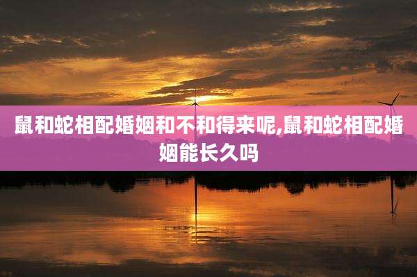 鼠和蛇相配婚姻和不和得来呢,鼠和蛇相配婚姻能长久吗