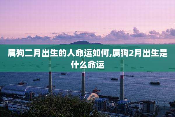 属狗二月出生的人命运如何,属狗2月出生是什么命运