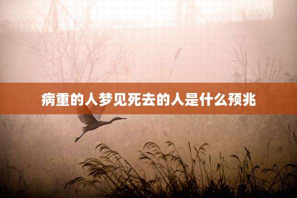 病重的人梦见死去的人是什么预兆