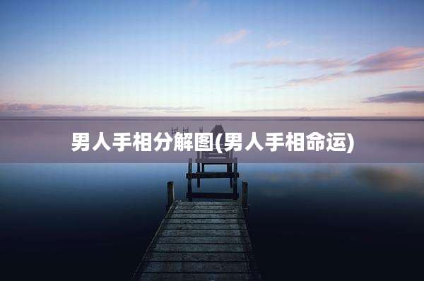 男人手相分解图(男人手相命运)
