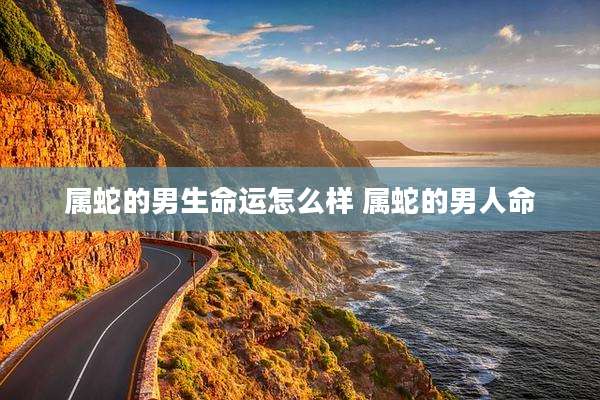 属蛇的男生命运怎么样 属蛇的男人命