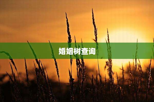 婚姻树查询