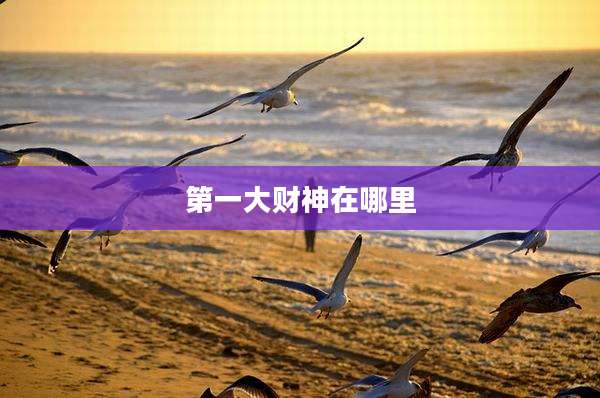 第一大财神在哪里