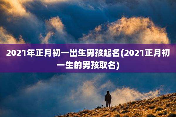 2021年正月初一出生男孩起名(2021正月初一生的男孩取名)
