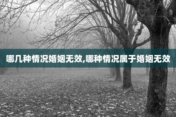 哪几种情况婚姻无效,哪种情况属于婚姻无效