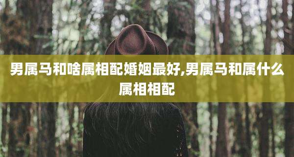 男属马和啥属相配婚姻最好,男属马和属什么属相相配