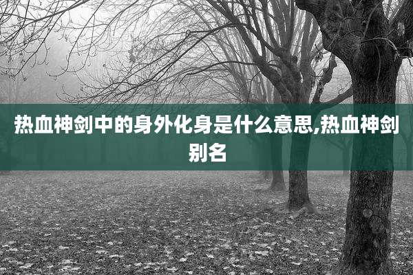 热血神剑中的身外化身是什么意思,热血神剑别名