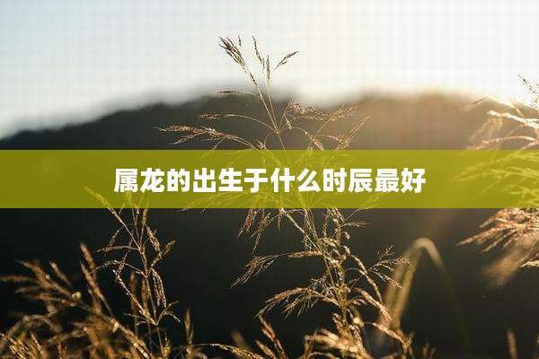 属龙的出生于什么时辰最好