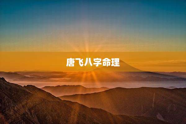 唐飞八字命理