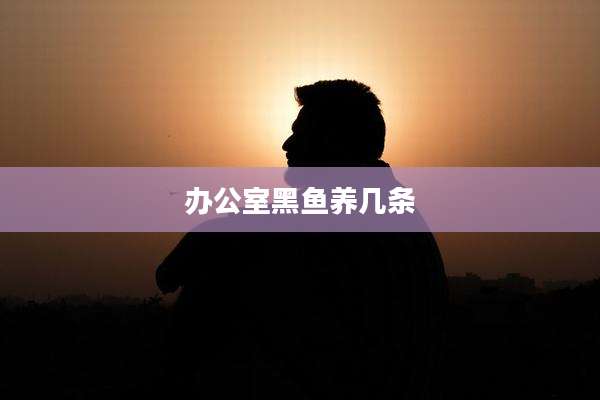 办公室黑鱼养几条