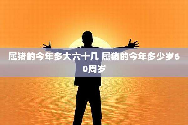 属猪的今年多大六十几 属猪的今年多少岁60周岁