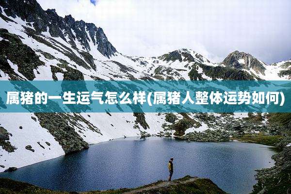 属猪的一生运气怎么样(属猪人整体运势如何)