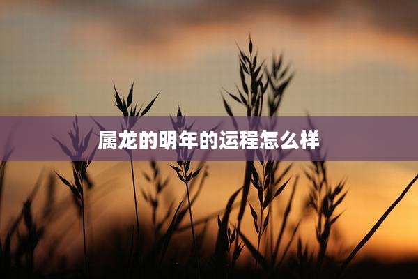 属龙的明年的运程怎么样