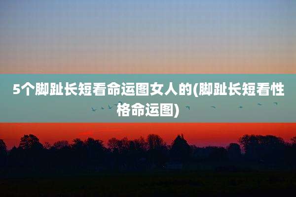 5个脚趾长短看命运图女人的(脚趾长短看性格命运图)