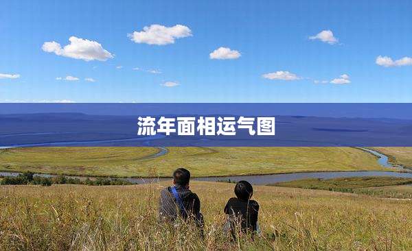 流年面相运气图