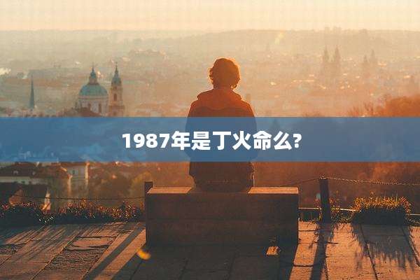 1987年是丁火命么?