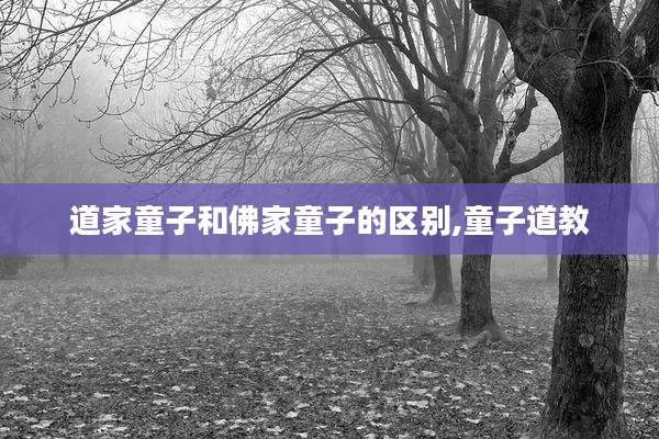 道家童子和佛家童子的区别,童子道教