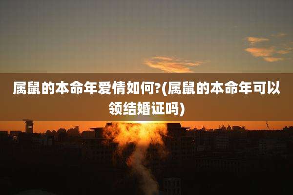 属鼠的本命年爱情如何?(属鼠的本命年可以领结婚证吗)