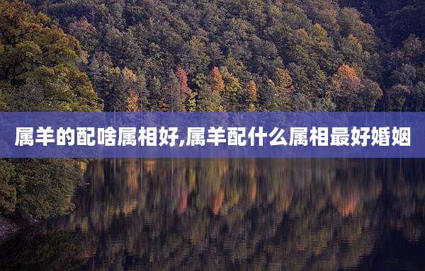属羊的配啥属相好,属羊配什么属相最好婚姻