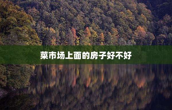 菜市场上面的房子好不好