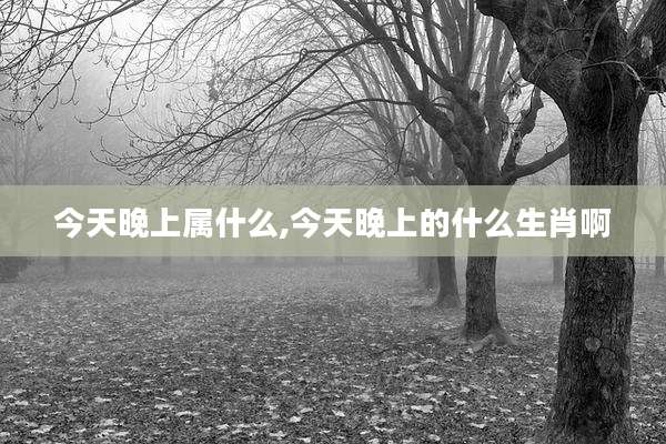 今天晚上属什么,今天晚上的什么生肖啊