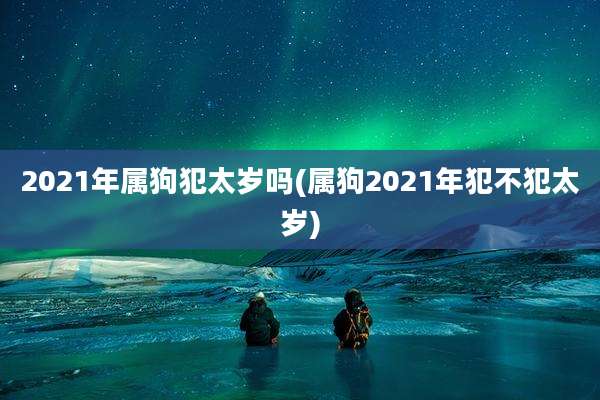 2021年属狗犯太岁吗(属狗2021年犯不犯太岁)