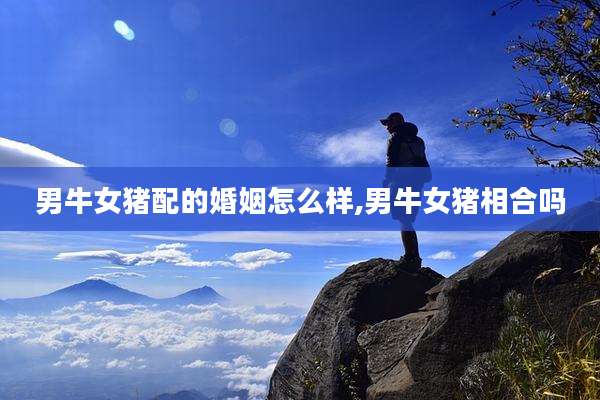 男牛女猪配的婚姻怎么样,男牛女猪相合吗
