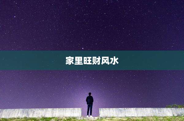 家里旺财风水