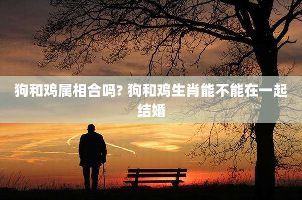 狗和鸡属相合吗? 狗和鸡生肖能不能在一起结婚