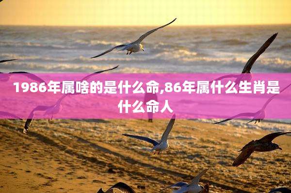 1986年属啥的是什么命,86年属什么生肖是什么命人