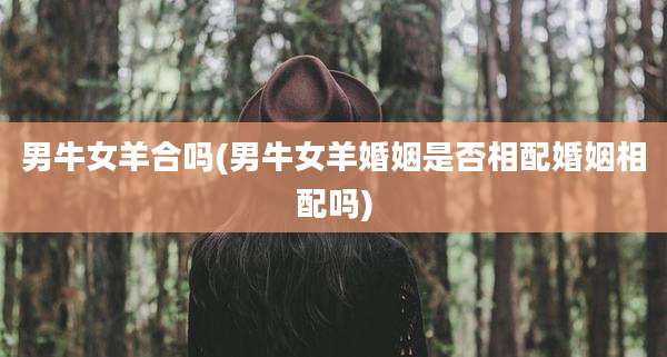男牛女羊合吗(男牛女羊婚姻是否相配婚姻相配吗)
