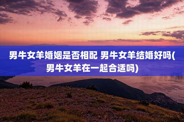 男牛女羊婚姻是否相配 男牛女羊结婚好吗(男牛女羊在一起合适吗)