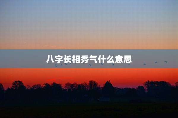 八字长相秀气什么意思