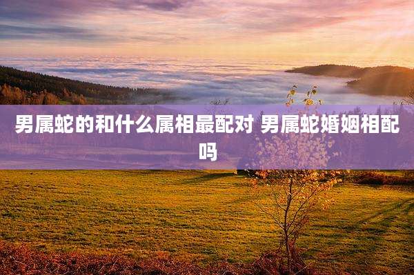 男属蛇的和什么属相最配对 男属蛇婚姻相配吗
