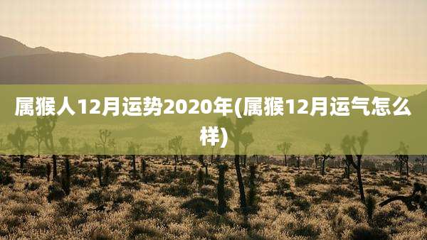 属猴人12月运势2020年(属猴12月运气怎么样)