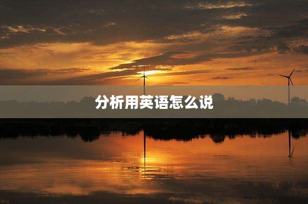 分析用英语怎么说