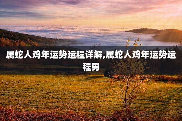 属蛇人鸡年运势运程详解,属蛇人鸡年运势运程男