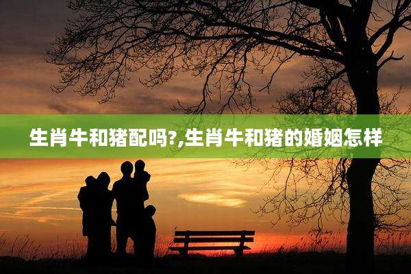 生肖牛和猪配吗?,生肖牛和猪的婚姻怎样