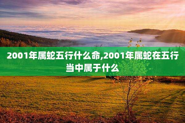 2001年属蛇五行什么命,2001年属蛇在五行当中属于什么
