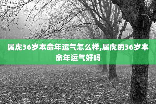 属虎36岁本命年运气怎么样,属虎的36岁本命年运气好吗