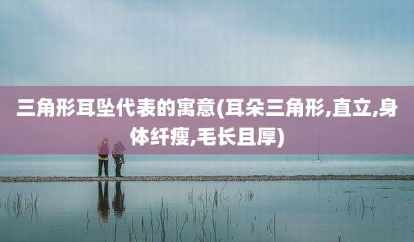 三角形耳坠代表的寓意(耳朵三角形,直立,身体纤瘦,毛长且厚)
