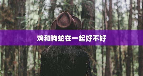 鸡和狗蛇在一起好不好