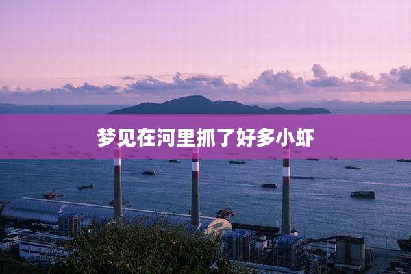 梦见在河里抓了好多小虾