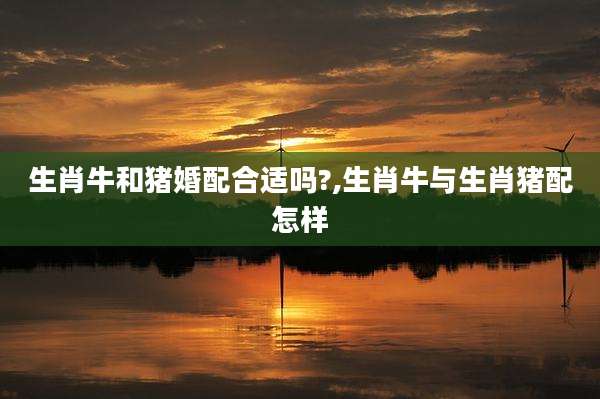 生肖牛和猪婚配合适吗?,生肖牛与生肖猪配怎样