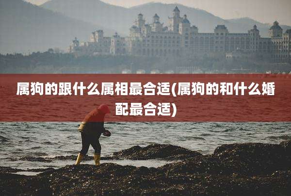 属狗的跟什么属相最合适(属狗的和什么婚配最合适)