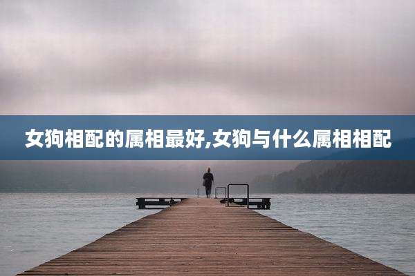 女狗相配的属相最好,女狗与什么属相相配