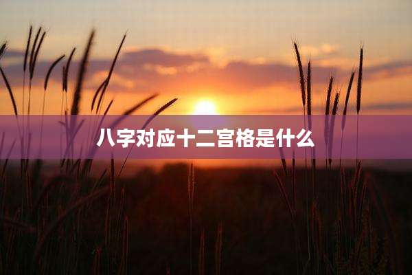 八字对应十二宫格是什么