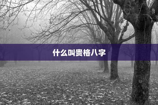 什么叫贵格八字