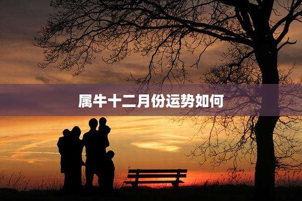属牛十二月份运势如何
